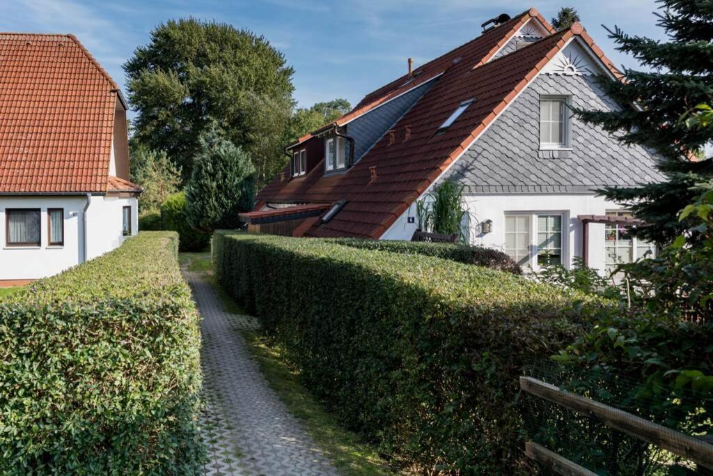 Weide - Gemutliches Ferienhaus Am Anger In Kloster, Insel Hiddensee Exteriér fotografie